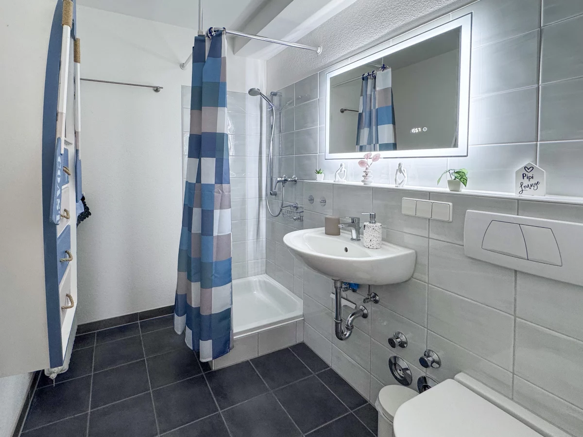 Badezimmer en suite mit Dusche in der Ferienwohnung in Alllensbach