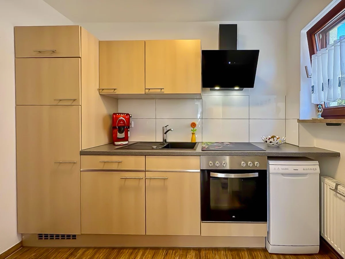 Blick in die Küche mit Spülmaschine, Kaffeemaschine und Herd mit Backofen in der Ferienwohnung Allensbach